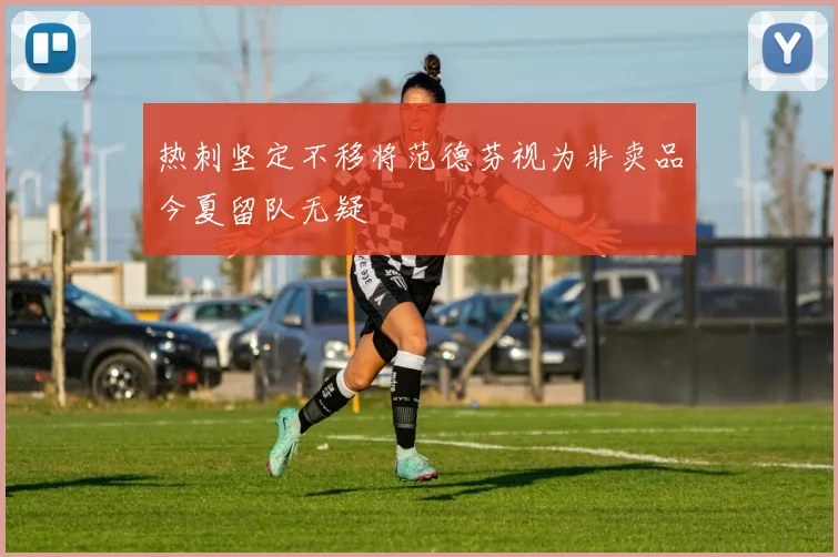 热刺坚定不移将范德芬视为非卖品今夏留队无疑