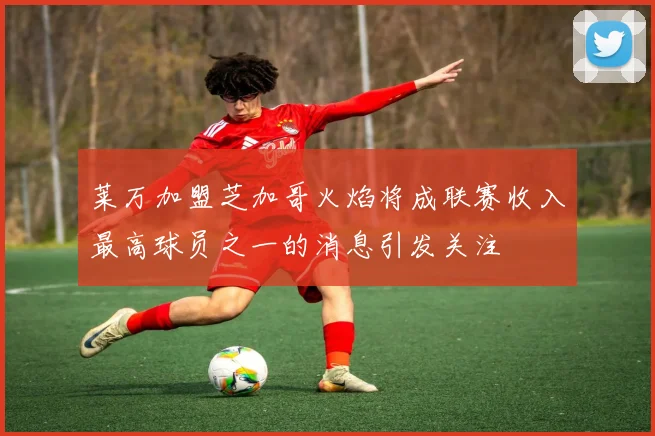 莱万加盟芝加哥火焰将成联赛收入最高球员之一的消息引发关注