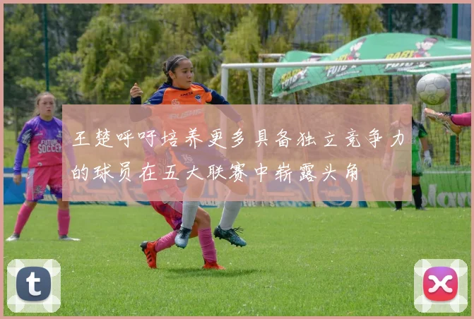 王楚呼吁培养更多具备独立竞争力的球员在五大联赛中崭露头角