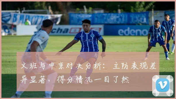 文班与申京对决分析：主防表现差异显著，得分情况一目了然